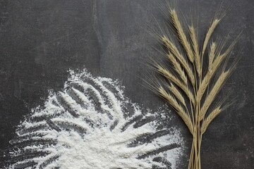 Ears of wheat and flour on a gray background. Top view, grain.