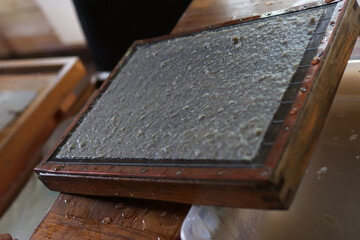 Production of paper from elephant droppings