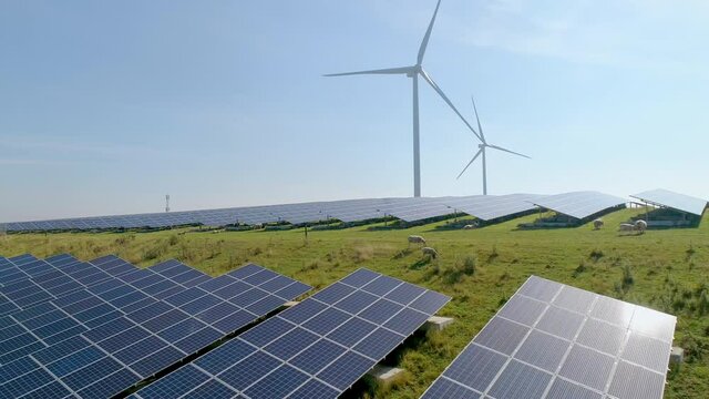 SLO MO AERIAL WS Sheep grazing in field with solar panels and wind turbines / Geldermalsen, Gelderland, Netherlands