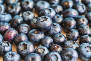Surface is covered with a blueberries. Vaccinium uliginosum (bog bilberry, bog blueberry, northern bilberry or western blueberry) heath family