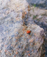 in nature