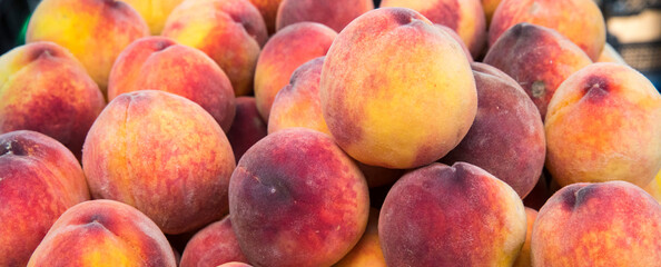 Fresh sweet ripe peaches as background. A heap of ripe Peaches (Prunus persica) close-up