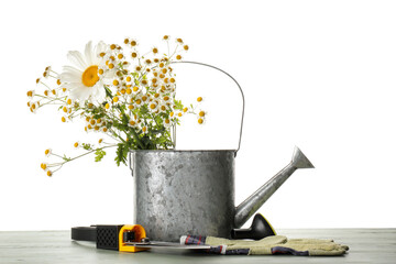 Gardening tools on table against white background