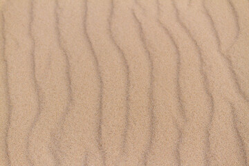 Fototapeta na wymiar sand ripples texture in the sand background