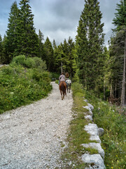 Fototapeta premium Paesaggio di montagna con gente a cavallo