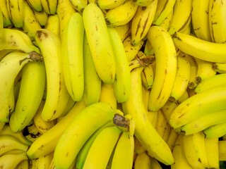 bunch of bananas on market