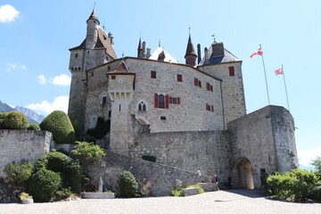 Fototapeta na wymiar Le château de Menthon Saint Bernard vu de l'extérieur, ville de Menthon - Saint Bernard, département Haute Savoie, France