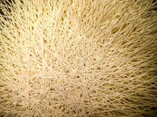 Dry branches in chaotic disposition. Concept of pruning plants in garden.