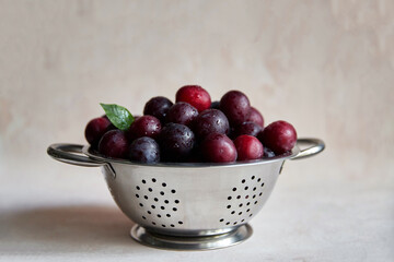fresh juicy eco-friendly plums in colorant, on a light background