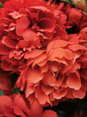 Beautiful luxurious roses. Large Artificial Flowers. Big Red Peonies. Made of textile.