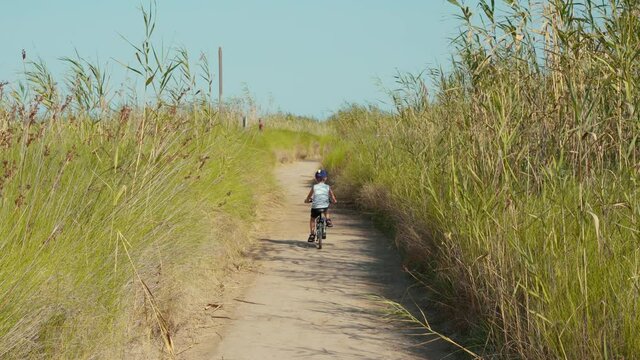 Child cycling a bike on countryside road full of reeds in Delta del Ebro, Spain
