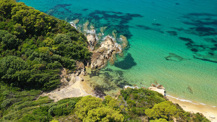 Aerial drone photo of paradise beaches of Banana and small Banana covered with pine trees in beautiful island of Skiathos, Sporades, Greece