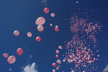Pink balloons in the blue sky