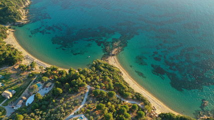 Aerial drone photo of paradise beaches of Banana and small Banana covered with pine trees in beautiful island of Skiathos, Sporades, Greece