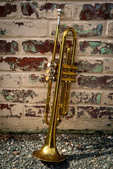 Fototapeta na wymiar Jazz Trumpet Club
