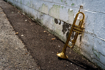 Naklejka na ściany i meble Jazz Trumpet Club