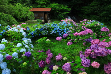 水車小屋と紫陽花