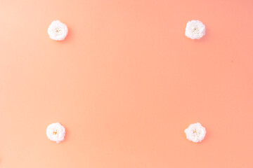 Flowers composition. frame made of white small rose on pink background. Mother's day, Valentine's day, birthday, spring, summer concept. Flat lay, top view