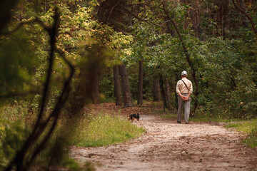 Fototapeta premium Old man walking a dog in a pine forest