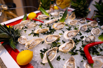 Naklejka na ściany i meble Fresh opened oysters on crushed ice in a buffet