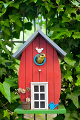 Fototapeta na wymiar great titmouse looking out red bird house in the garden surounded by ivy