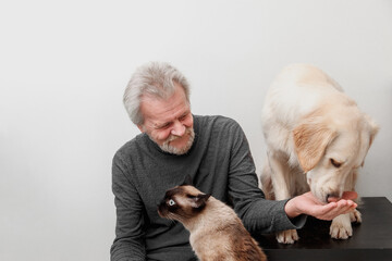 old man feed golden retriever and siamese cat at home