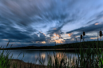 Twilight Delight