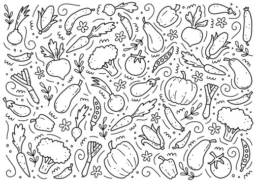 Hand drawn set of vegetable elements, carrot, salad, tomato, onion, lettuce, chili. Comic doodle sketch style. Vegetables element drawn by digital brush-pen. Vector illustration for icon, menu, frame