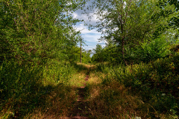 Ukraine, Krivoy Rog, the 16 of July 2020. Abandoned city park with beautiful clouds in the sky.