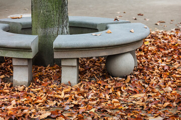 round stone bench in autumn park