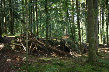foret d'ecouvre