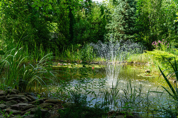 Beautiful garden pond with stone banks and cascading fountain. Evergreen landscaped garden. Evergreens and aquatic plants are reflected in water surface. Atmosphere of calm and measured life.