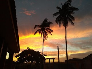 Pôr do sol acompanhado de lindas palmeiras