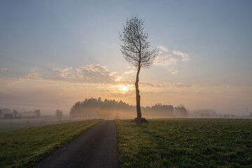 Morgenstimmung im Reusstal