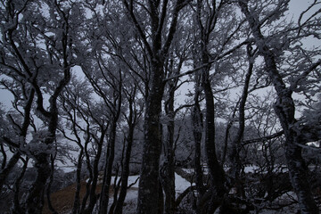 Raureif auf dem Creux du Van