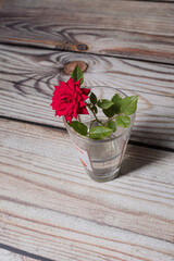 Red rose tiny flower on a glass vase on a wooden surface