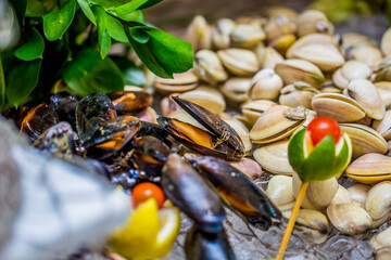 mussels and clams in buffet setup