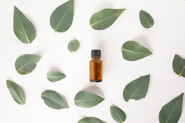 Flat lay image of amber essential oil bottle surrounded by eucalyptus gum leaves