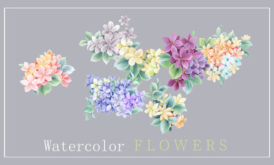 Watercolor flower illustration, combination of elements