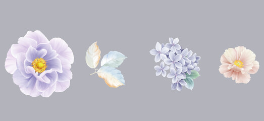 Fototapeta na wymiar Watercolor flower illustration, combination of elements