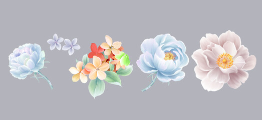 Watercolor flower illustration, combination of elements