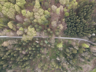 Waldstrasse von oben