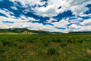 Lamar Valley in Yellowstone National Park