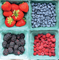 Food knoll of fresh berries, strawberries, blackberries, blueberries, and raspberries, in blue cartons.