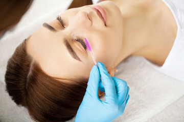 Fototapeta premium Eyelash extension procedure, professional stylist lengthening female lashes.