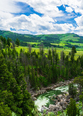 Fototapeta na wymiar Lamar River, Yellowstone National Park