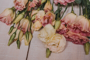 A bouquet of pink and white eustoms for a postcard, Wallpaper or poster. Eustoma flowers in pastel colors on a white wooden background made of boards in a close-up perspective with space for text.