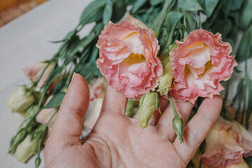 Wedding bouquet of pink and white eustoms for a postcard, Wallpaper or poster. Eustoma flowers in pastel colors on a white wooden background of boards close-up in the hand of a girl (bride).