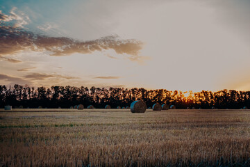 Cleaning fields in the Kuban. Haystacks on a harvested field during a July sunset and the sun shining brightly behind trees and clouds on the horizon.