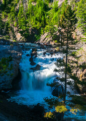 Fototapeta na wymiar Firehole River, Yellowstone National Park